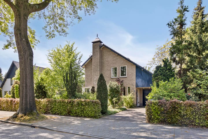 Foto 44 van Koningsvaren 5