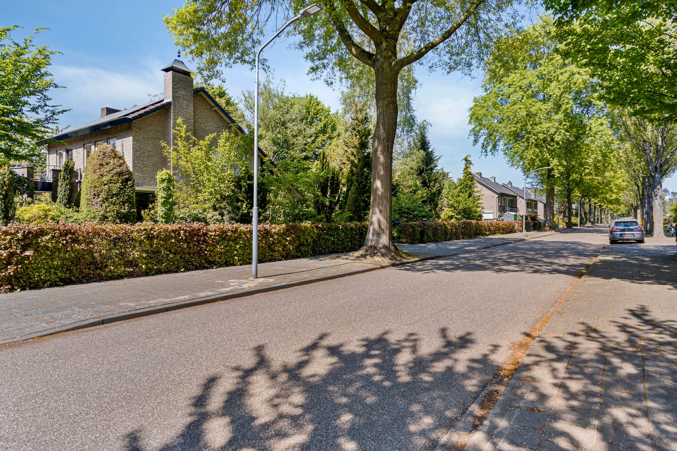 Photo 45 of Koningsvaren 5