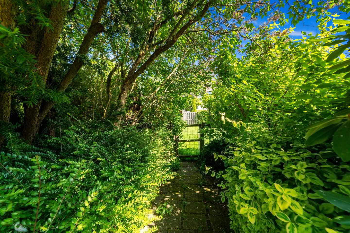 Foto 14 van Populierendreef 540