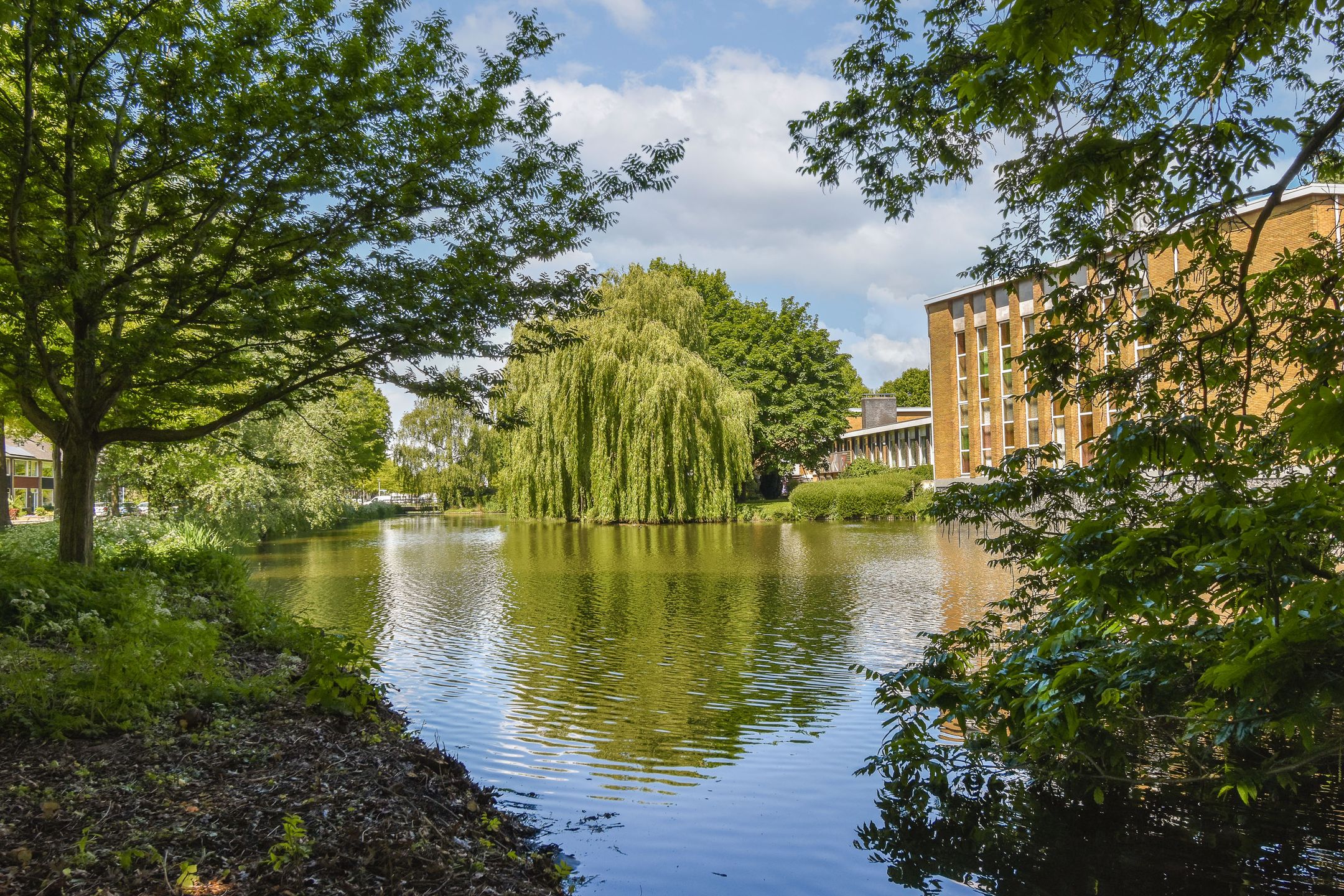 Foto 39 van Rozenstraat 30