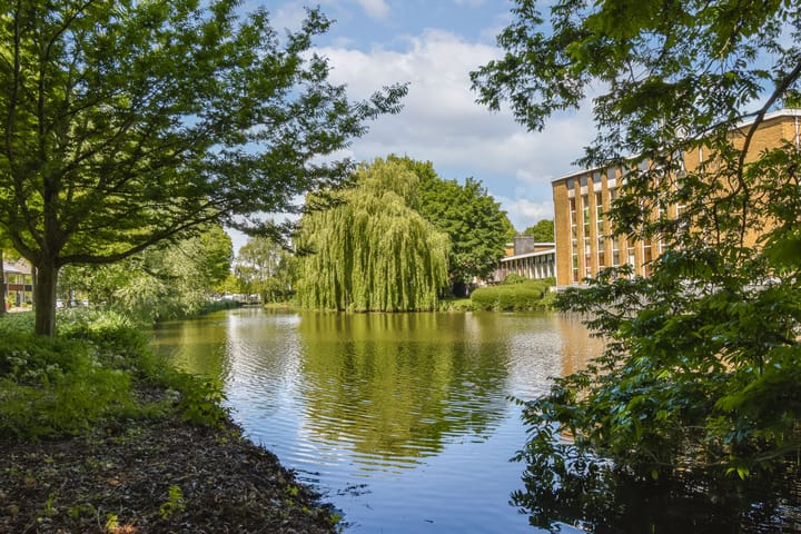 Foto 39 van Rozenstraat 30