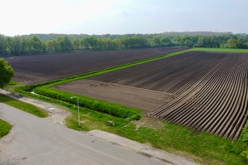 Bekijk foto's