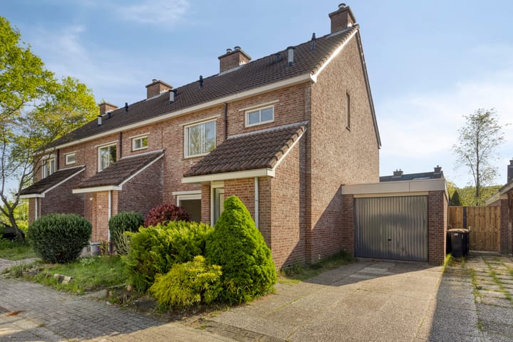 Zevenblad 8