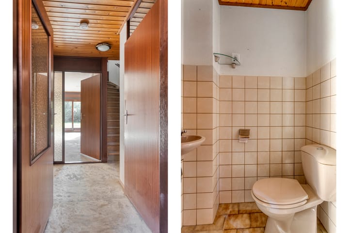 Foto 3 van Zevenblad 8