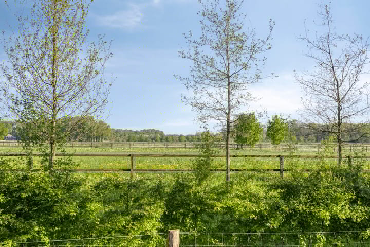 Foto 31 van Zevenblad 8