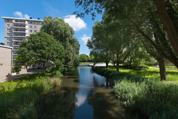 Photo 15 of Geervliet 303