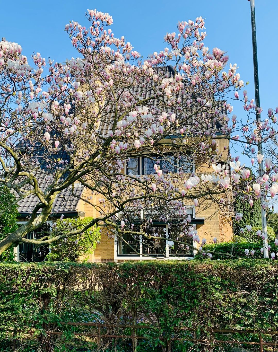 Foto 28 van Burgemeester s'Jacoblaan 47