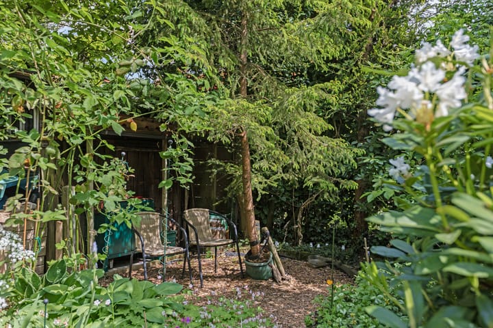 Foto 50 van Bankastraat 18