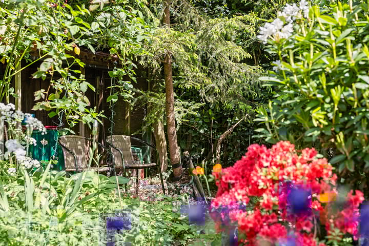 Foto 51 van Bankastraat 18