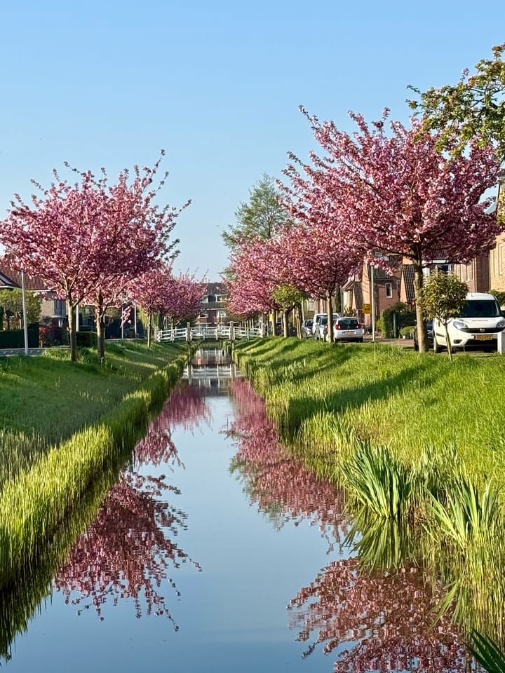 Foto 4 van Belcampostraat 19