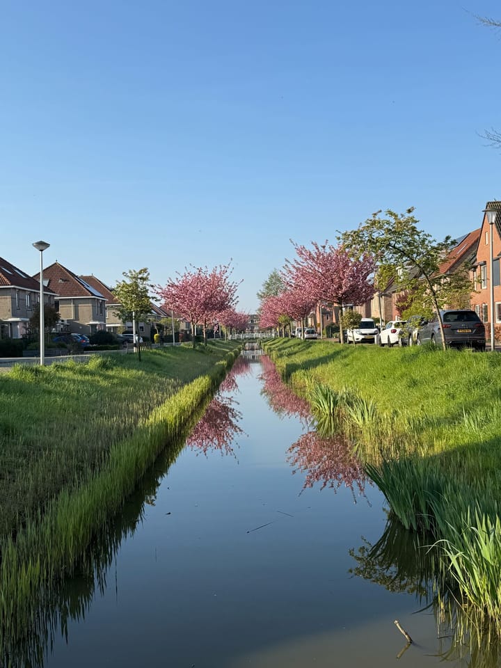 Foto 40 van Belcampostraat 19