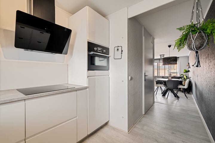 Foto 21 van Dr. H.J.A.M.Schaepmanplein 21