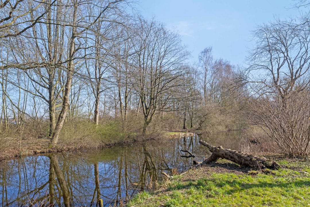 Foto 41 van Klazina Hoeve 4