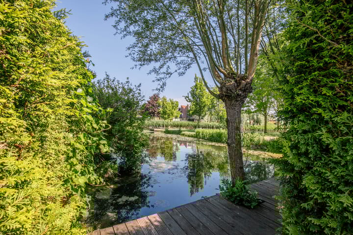 Foto 4 van Zonnedauw 1