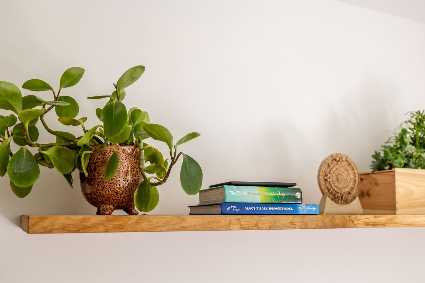 Photo 29 of Haarlemmerweg 493-A