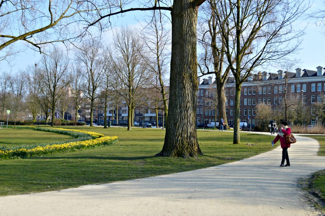 Photo 47 of Haarlemmerweg 493-A