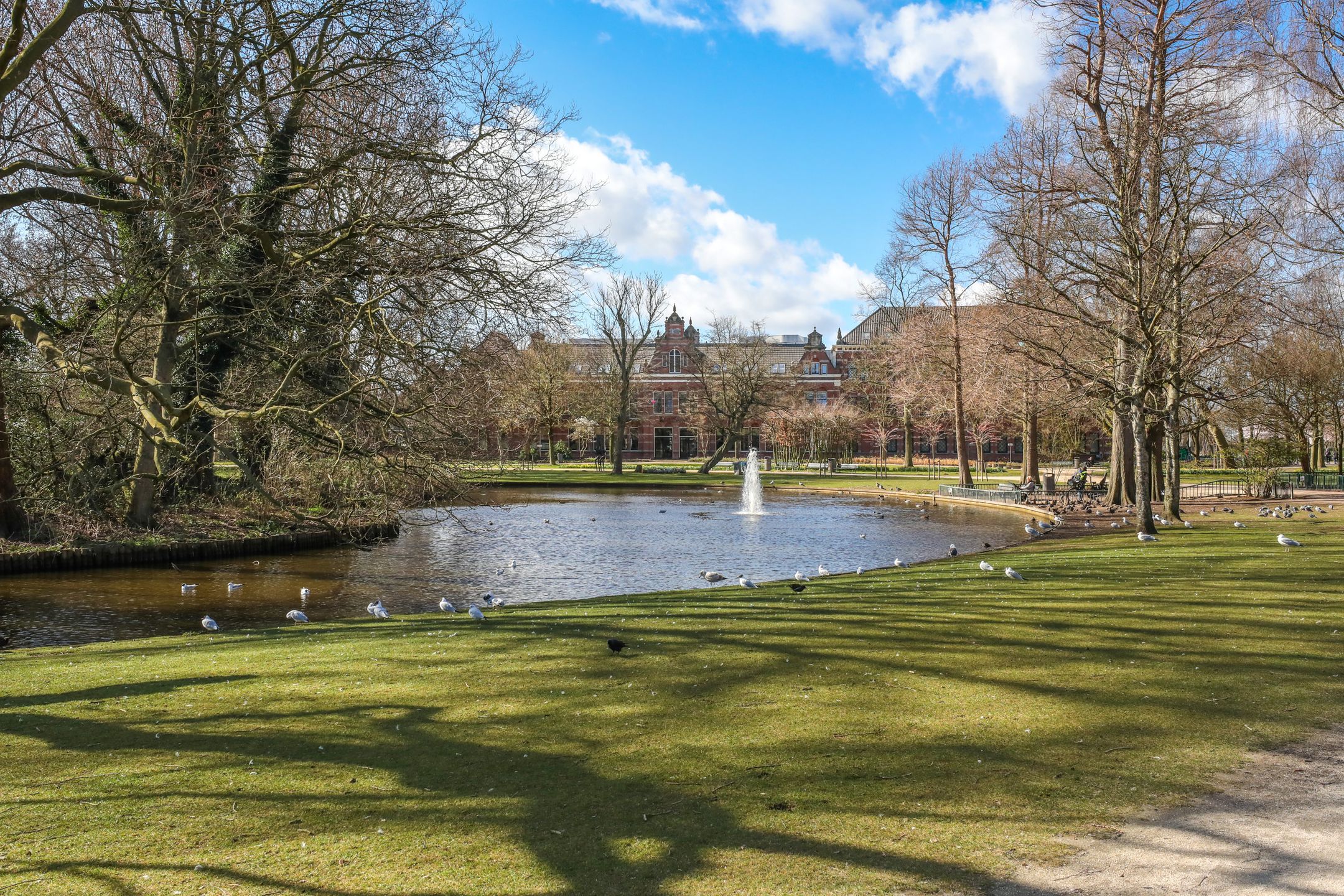 Photo 51 of Haarlemmerweg 493-A