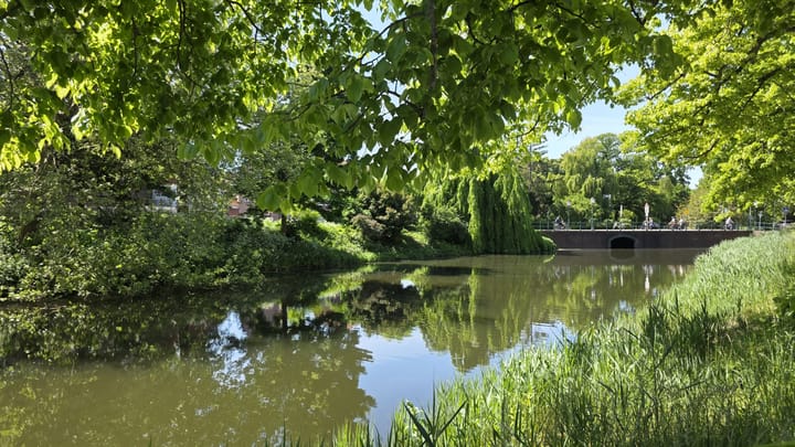 Foto 30 van Achterstraat 53