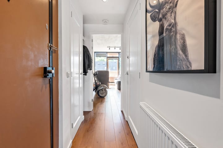 Foto 3 van Laan van de Mensenrechten 174