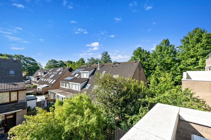 Foto 22 van Laan van de Mensenrechten 174