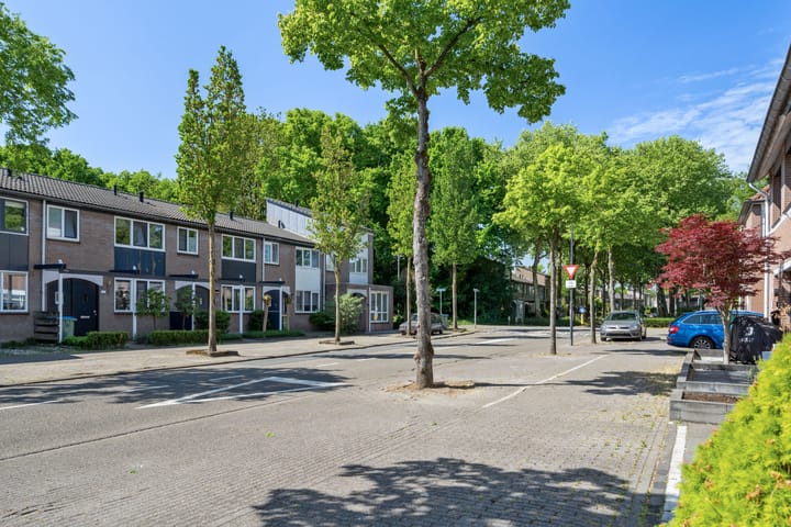 Foto 40 van Arenberglaan 171