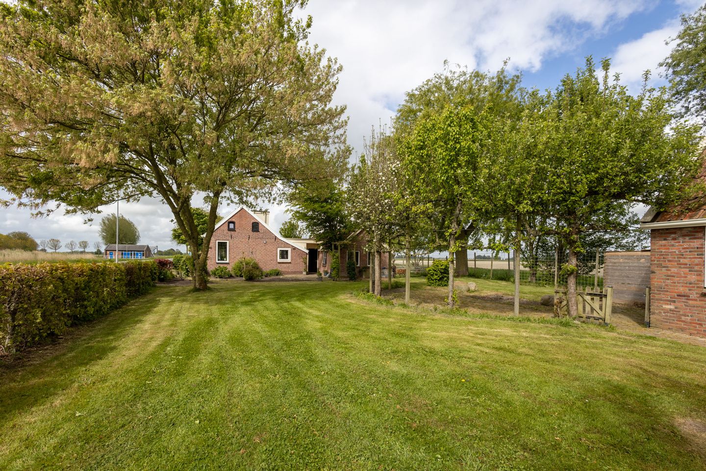 Foto 5 van Stedumerweg 16