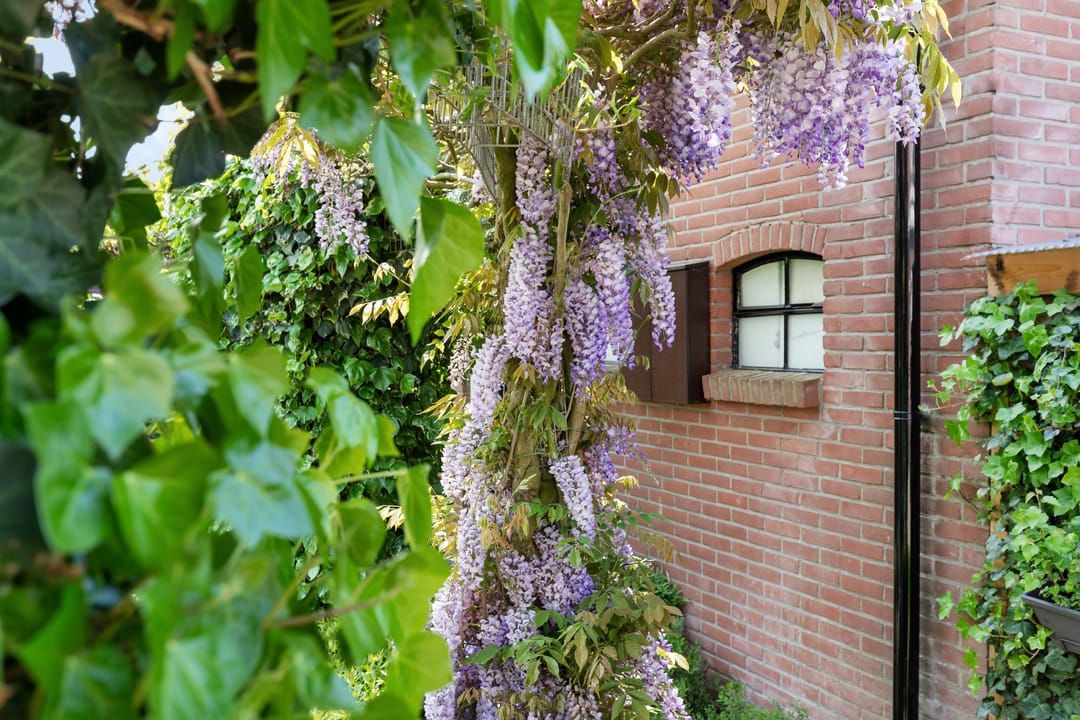 Foto 47 van Oude Barneveldseweg 13