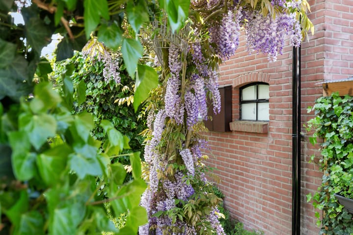 Foto 47 van Oude Barneveldseweg 13