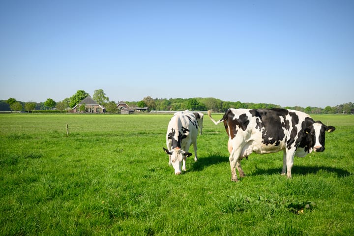 Foto 72 van Masselinklaan 8