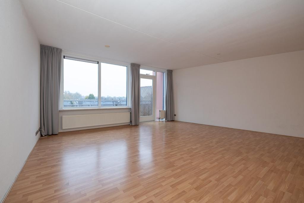 Photo 8 of Plein 2000 103