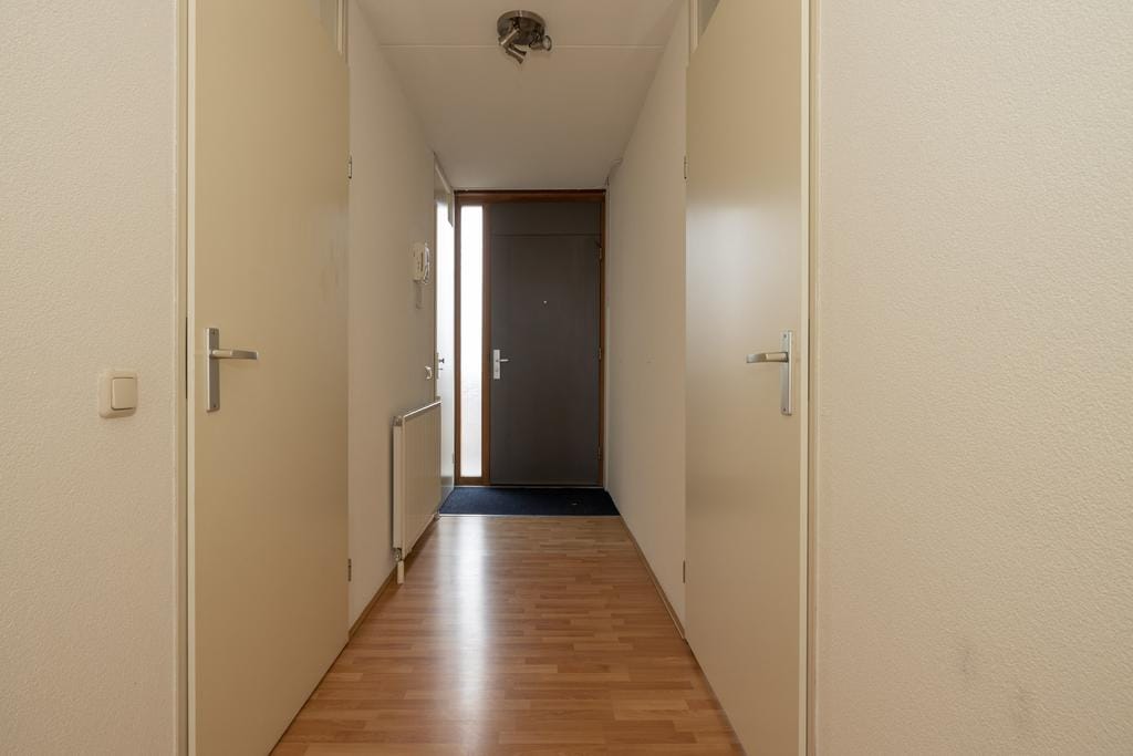 Photo 15 of Plein 2000 103