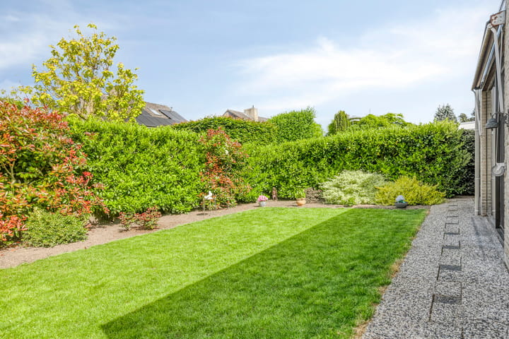 Foto 28 van Canopuslaan 3