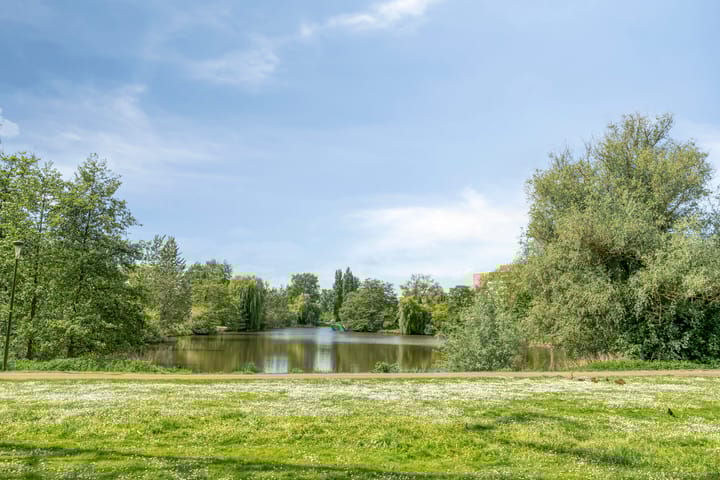 Foto 34 van Canopuslaan 3