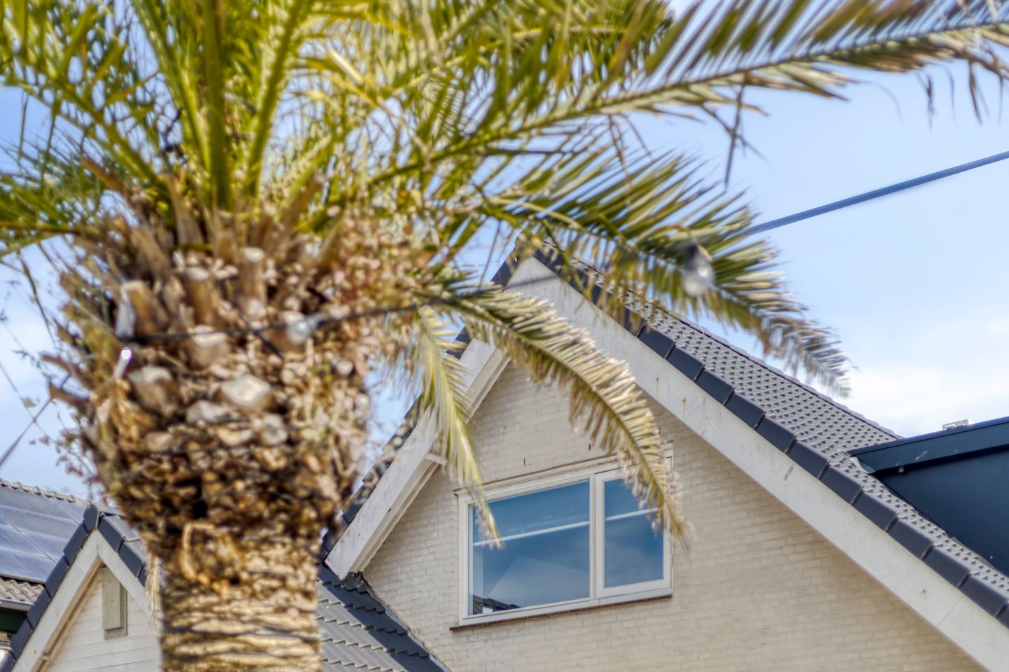 Foto 115 van Hatertseweg 600