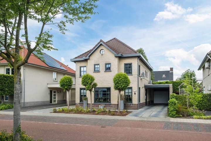 Foto 6 van Wildwal 4