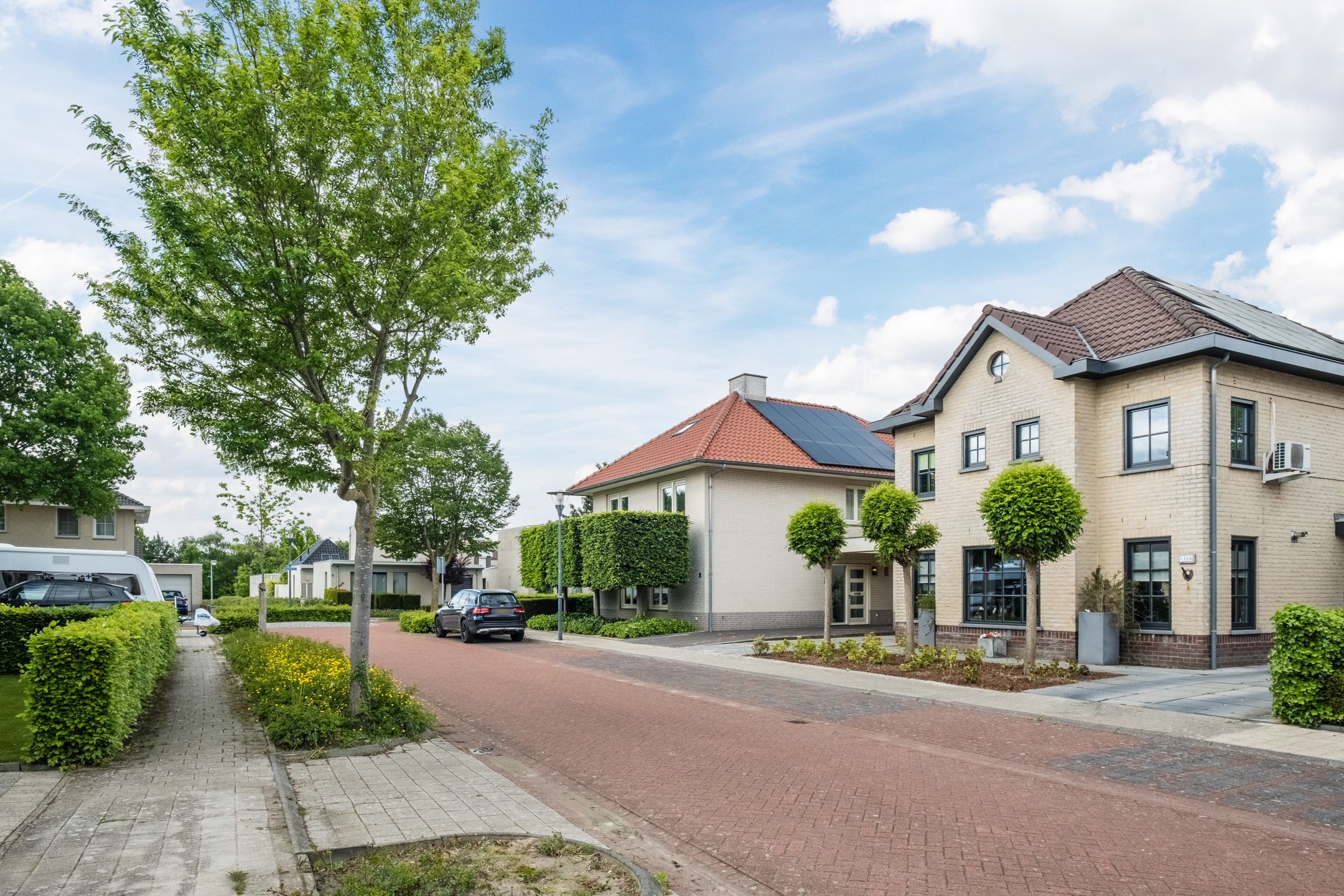 Foto 45 van Wildwal 4