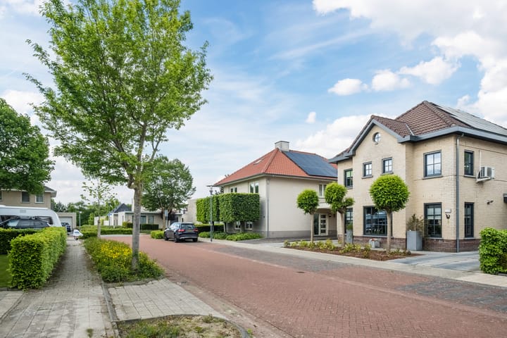 Foto 45 van Wildwal 4