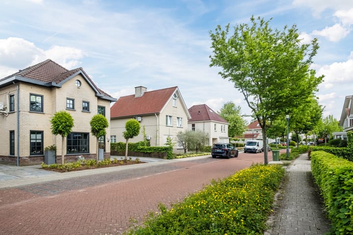 Foto 46 van Wildwal 4