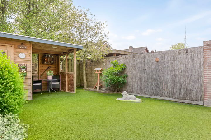 Foto 5 van Veenmos 119