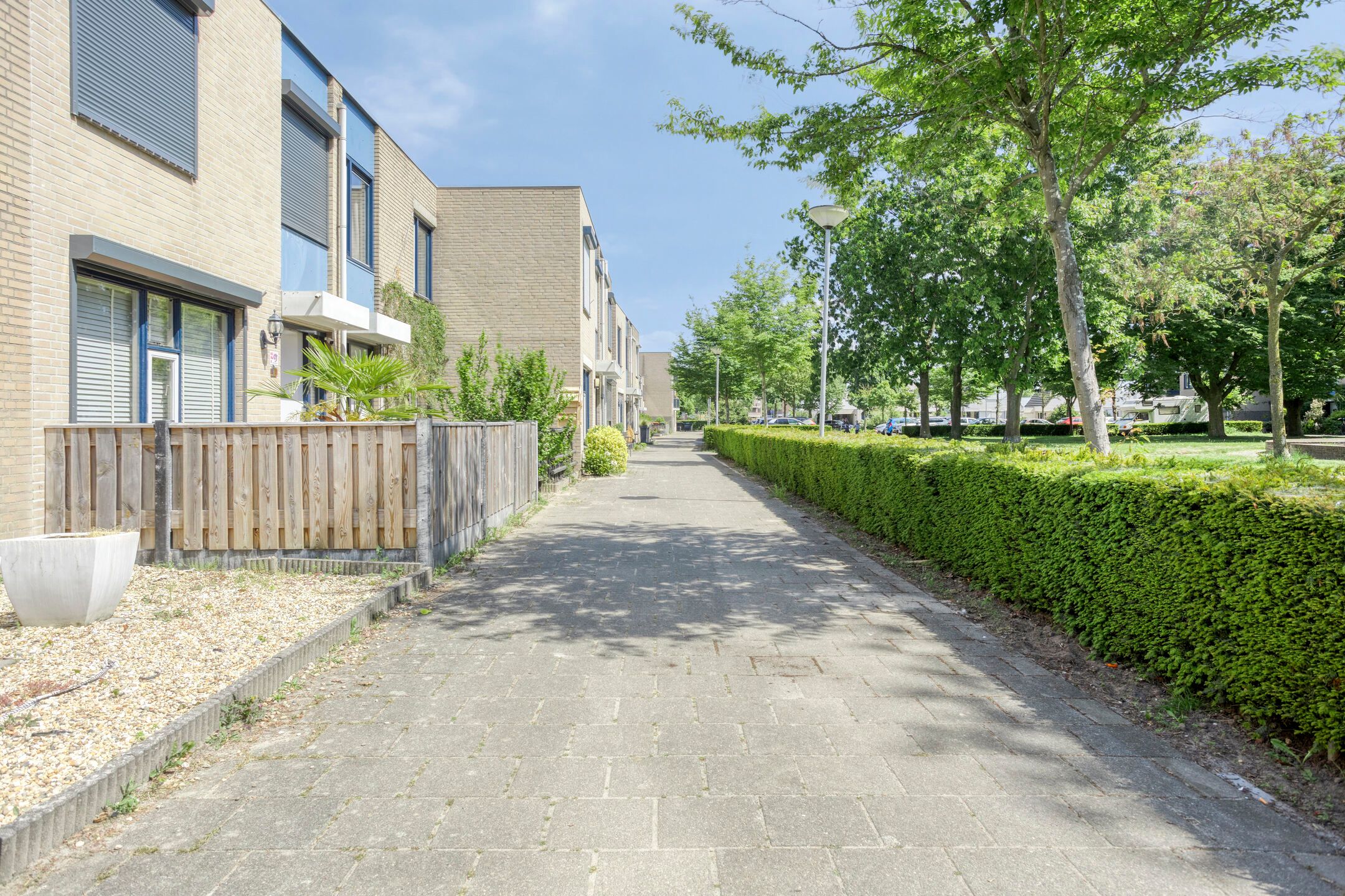 Foto 6 van Thorbeckeplantsoen 26