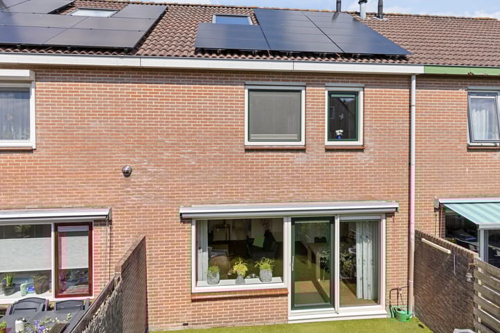 Foto 35 van Veenmos 119