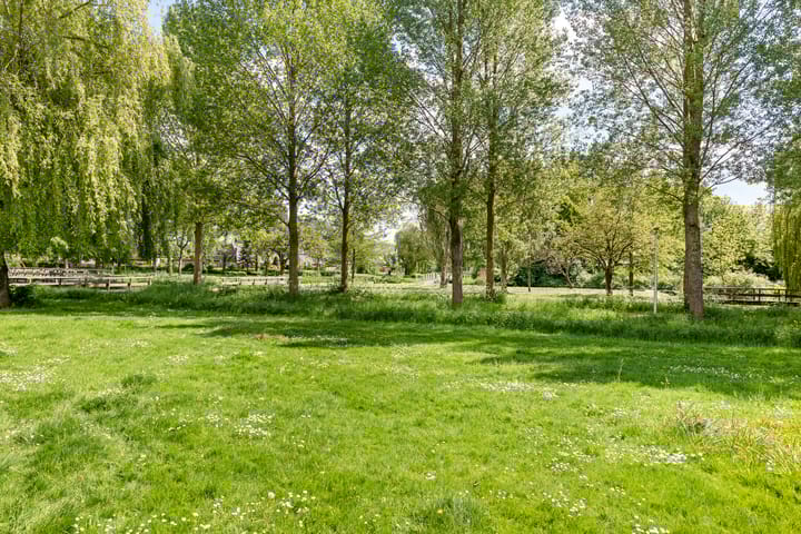 Foto 43 van Veenmos 119