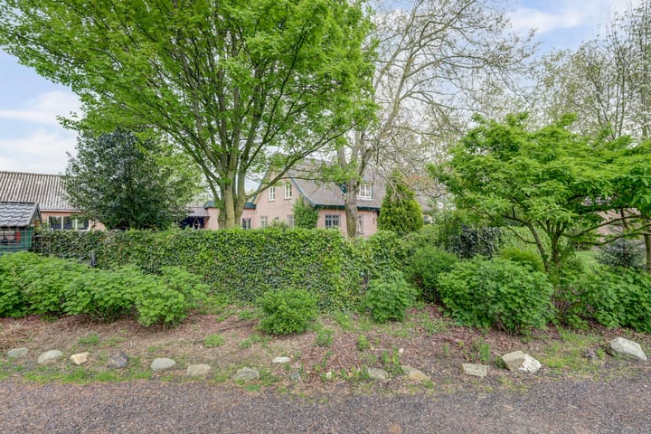 Photo 5 of Jonkerstraat 48