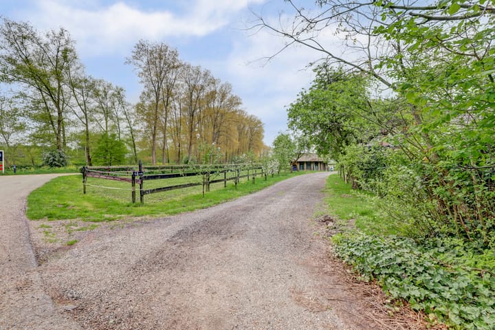 Photo 61 of Jonkerstraat 48