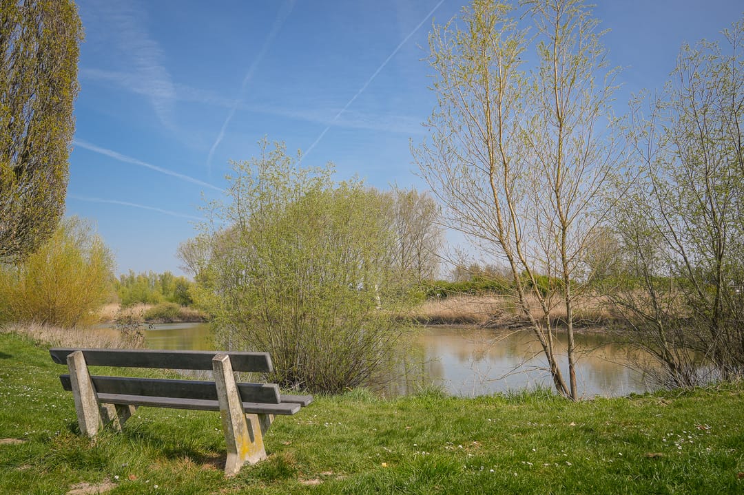 Foto 43 van Lijnbaanstraat 1-10