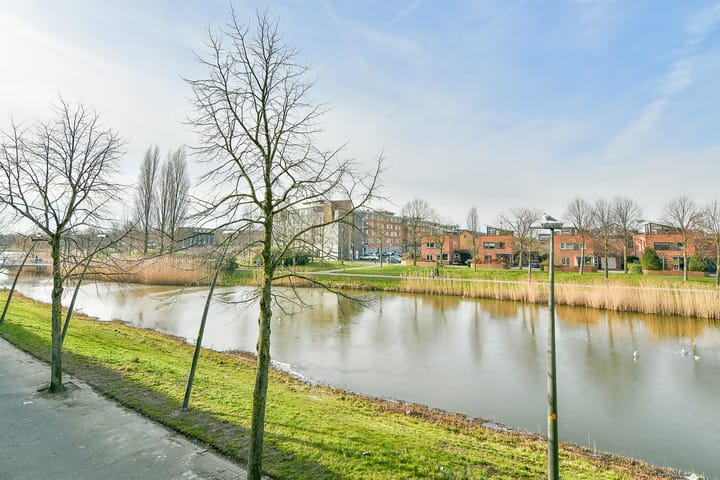 Foto 23 van Vivaldisingel 195