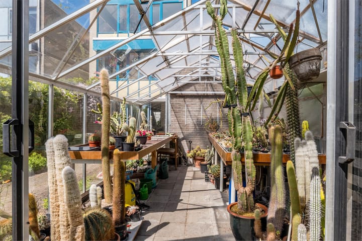 Foto 55 van Van Loghemstraat 24