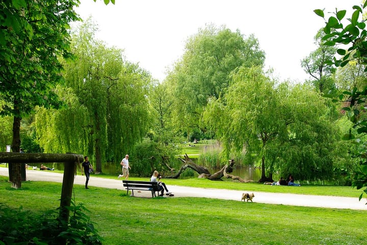 Photo 24 of Sarphatipark 92-2