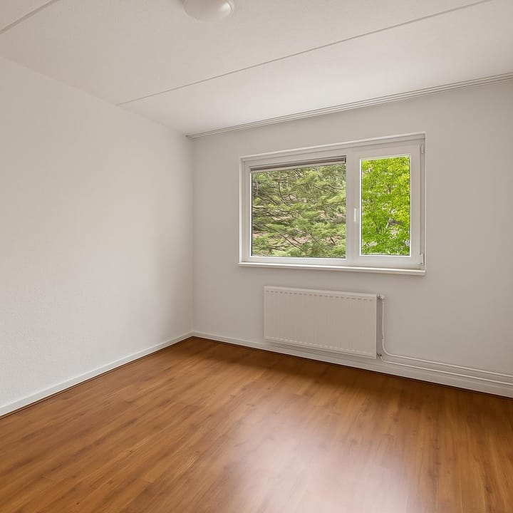 Foto 18 van Elsbes 32