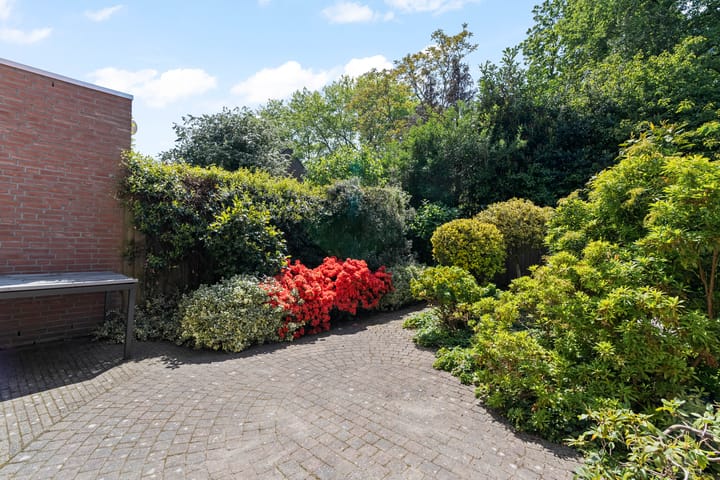 Foto 29 van Elsbes 32